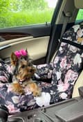 Miniatyrbilde 9 av 10: Hunde- eller kattebærer med roser og personalisering