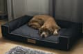 Miniatyrbillede 4 af 5: Seng til medium hund L SORT