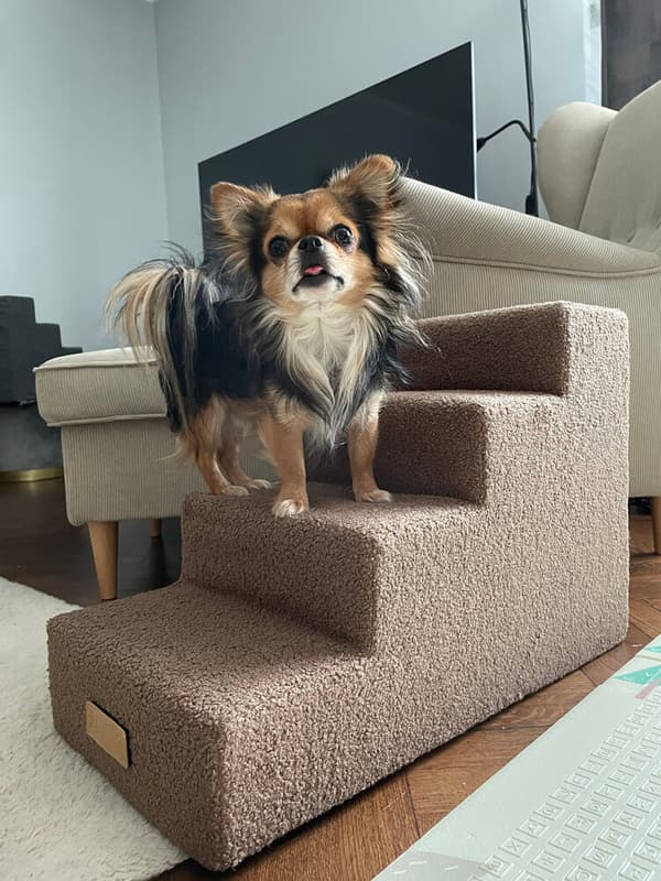Hunde/katttrapp 4 trinn - LAMM mørk beige