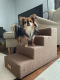Miniatyrbilde 5 av 5: Hunde/katttrapp 4 trinn - LAMM mørk beige