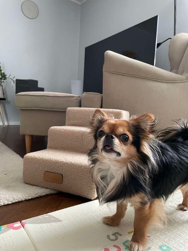 Hund/katttrappa 3 trappsteg - grått lamm