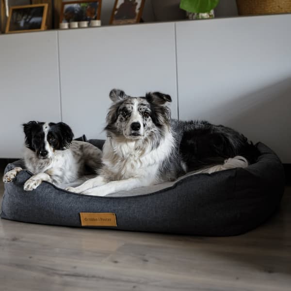 Personlig ortopedisk hundeseng Dogeste XXL grå