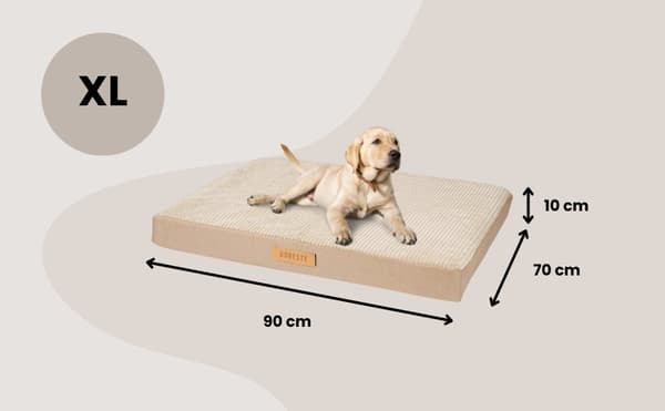 Personlig ortopedisk madrass för hundar Dogeste XL beige