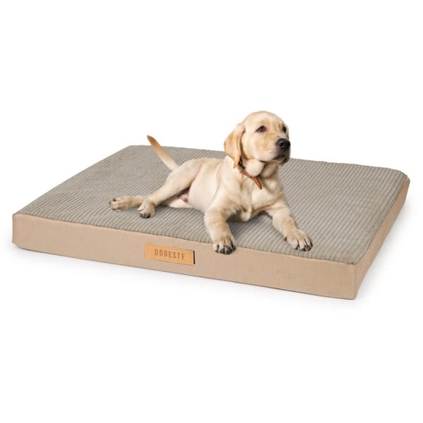 Personlig ortopedisk madrass för hundar Dogeste XL beige