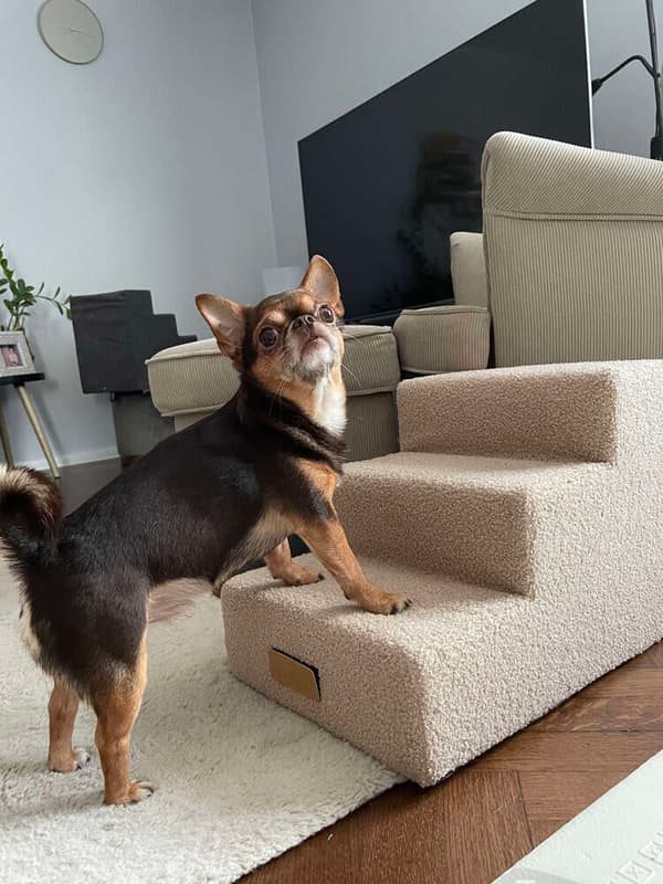 Hunde/kattetrappe 3 trin - chokoladelam