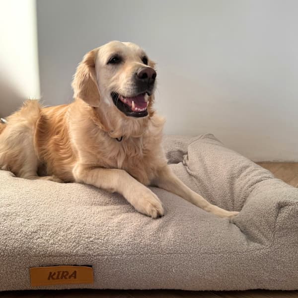 Hundeseng med personalisering XXL - grått lam