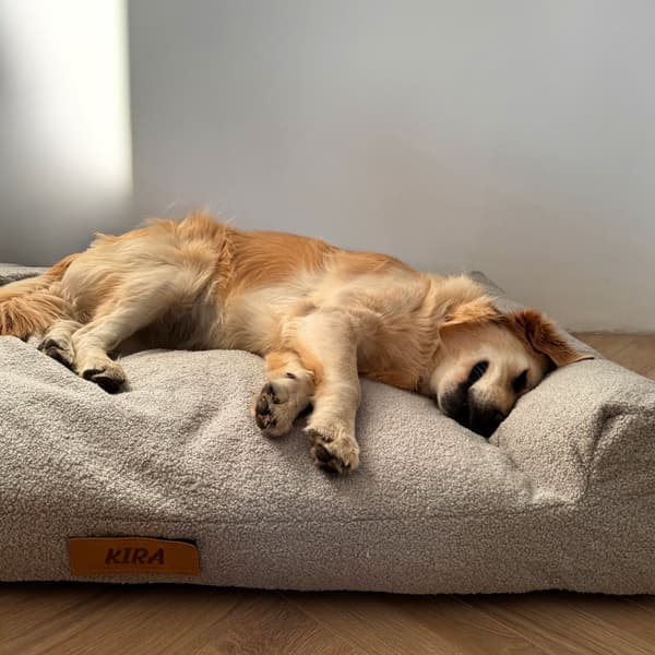 Hundeseng med personalisering XXL - grått lam