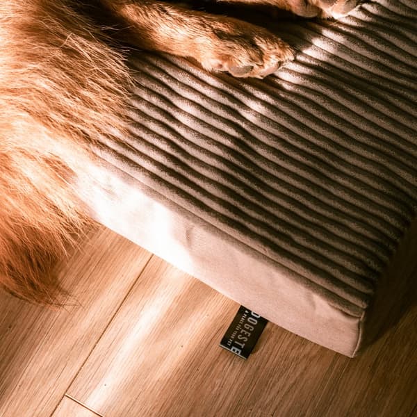 Personlig ortopedisk madrass för hundar Dogeste XXL
