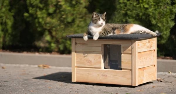 Kattehus med personalisering + GRATIS GAVER