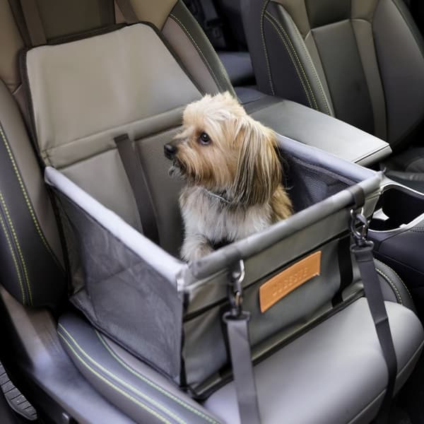 Hauki grå hundbilstol
