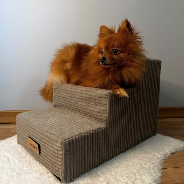 Hund/katttrappa 3 trappsteg - manchestergrå