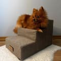 Miniatyrbild 3 av 5: Hund/katttrappa 3 trappsteg - manchestergrå