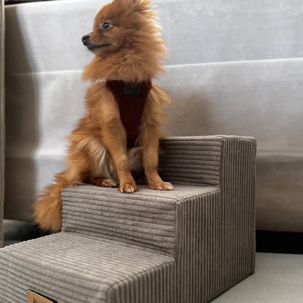 Hund/katttrappa 3 trappsteg - manchestergrå