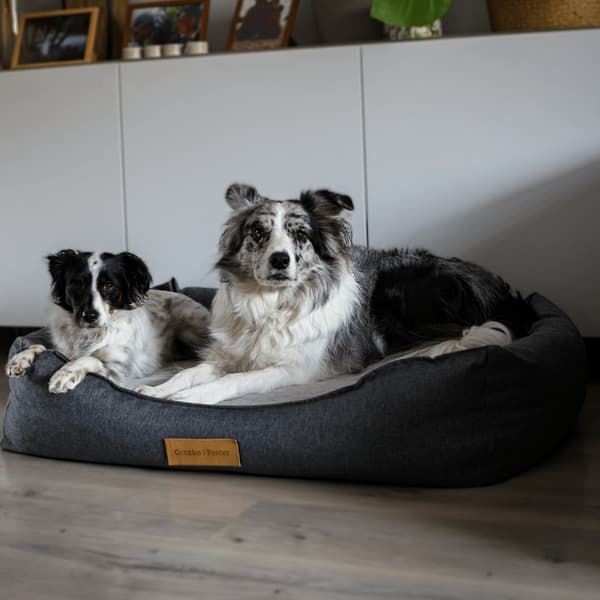 Personlig ortopedisk hundeseng Dogeste XXL svart