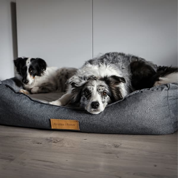 Personlig ortopedisk hundeseng Dogeste XXL svart