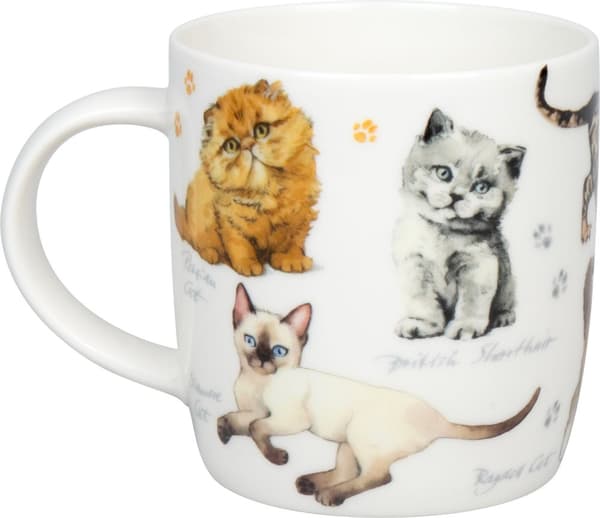 Kopp Katter