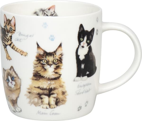 Kopp Katter