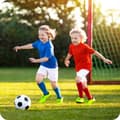 Miniatyrbilde 5 av 9: Bærbart fotballmål i metall for barn, 240x150x90 cm med staker