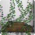 Pikkukuva 4 / 9: Keinotekoinen Ivy-setti – 12 viiniköynnöstä, kokonaispituus 27 m