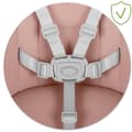 Miniatyrbillede 6 af 11: Ricokids Mani foderstol pink