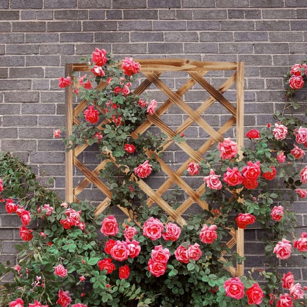 Flammet plantekasse med espalier