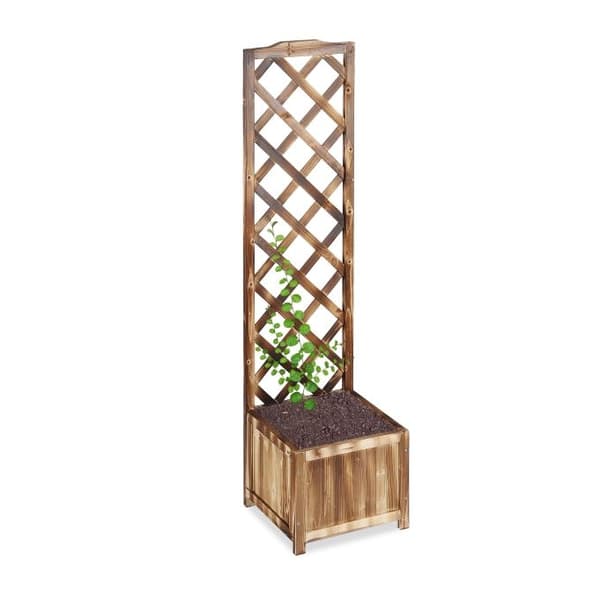 Flammet plantekasse med espalier