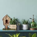 Miniatyrbillede 5 af 9: Plantekasse med fuglehus