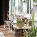 Miniatyrbilde 2 av 8: 2x kyllingblomstpotte