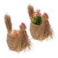 Miniatyrbilde 1 av 8: 2x kyllingblomstpotte