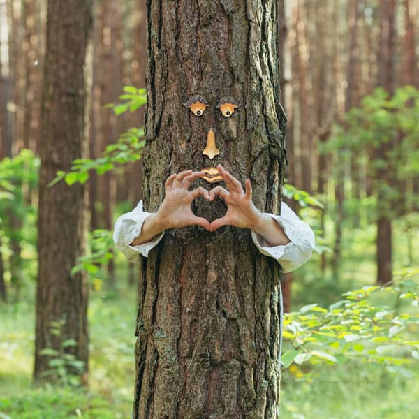 4-osainen Tree Face ja kulmakarvat