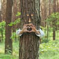 Pikkukuva 3 / 8: 4-osainen Tree Face ja kulmakarvat