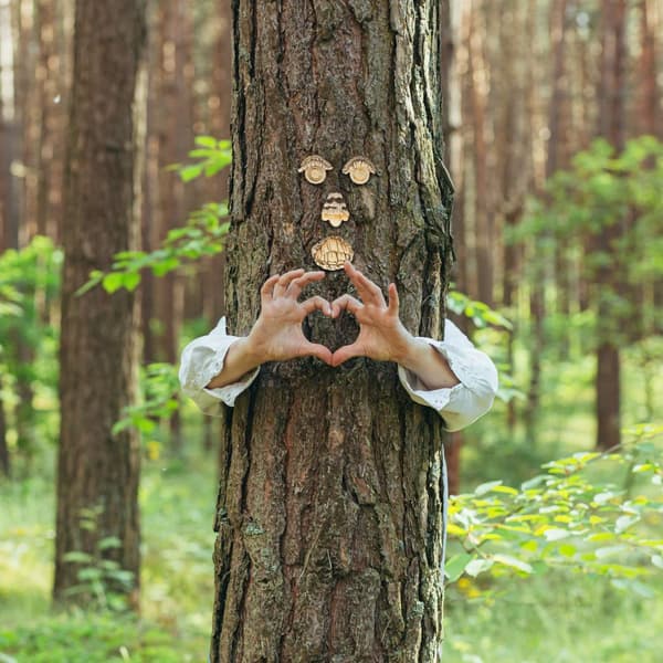 4-delt Tree Face