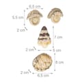 Miniatyrbilde 4 av 8: 4-delt Tree Face
