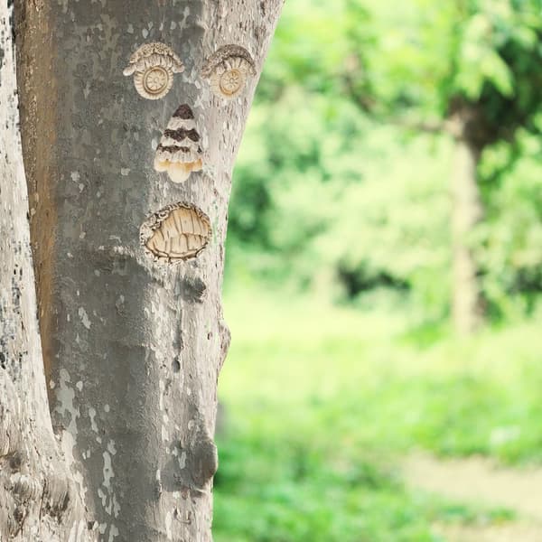 4-delt Tree Face