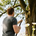 Miniatyrbilde 2 av 10: Teleskopisk grensag 1,5–2,6 m tresaks med låseanordning, teleskophåndtak, non-stick belagt blad, svart