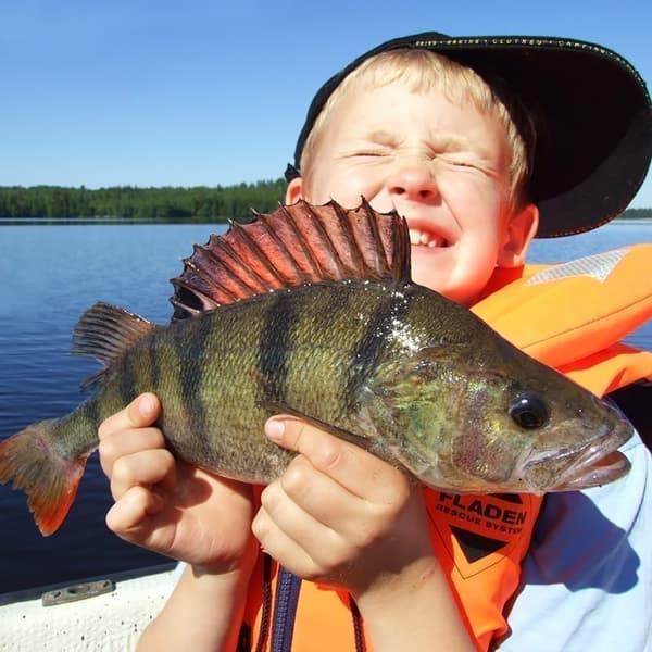 Räddningsväst för barn Fladen Fishing 830 100N, orange Flytväststorlek: 10 - 20 kg