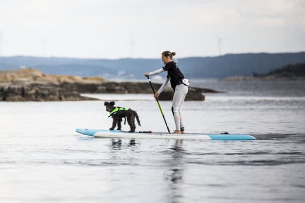 Flytväst-väst Baltic Sandhamn 50N, röd Flytväststorlek: Large (80 - 90 kg)