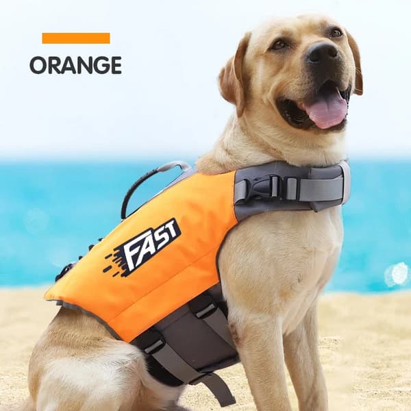Hundflytväst, Justerbar Passform, Hög Synlighet, Olika Storlekar,Orange, L