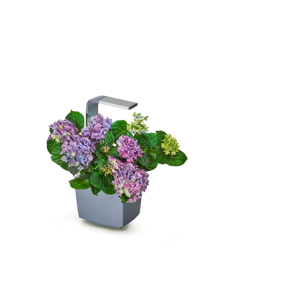 TREGREN Kitchen Garden T3 Grå