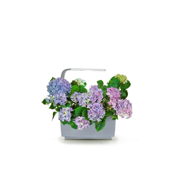 TREGREN Kitchen Garden T6 Grå