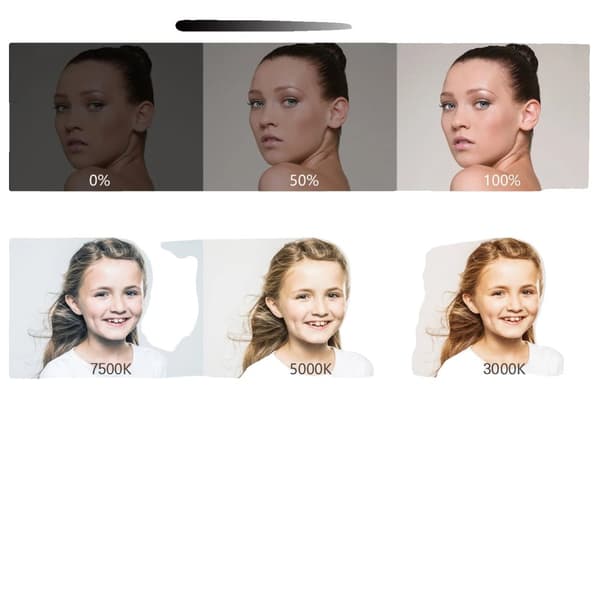 Studiofotografi Ljuskit, Bi-färgad LED-lampa, Dimmbar ljusstyrka,svart