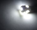 Miniatyrbild 2 av 3: T10 w5w Led med 5st 5050SMD 6000k chip 12v DC  10-pack