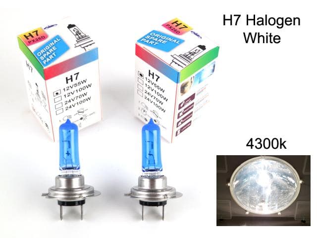H7 4300k white halogen 55w lampor
