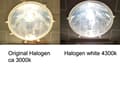 Miniatyrbild 5 av 5: H1 4300k white halogen 55w lampor P14.5s