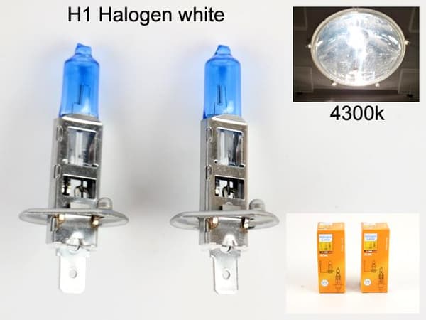 H1 4300k white halogen 55w lampor P14.5s