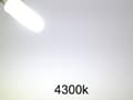 Miniatyrbild 4 av 4: G4 2w dimbar 12v DC + AC Led lampa 4300K vitgul G-4  8-pack