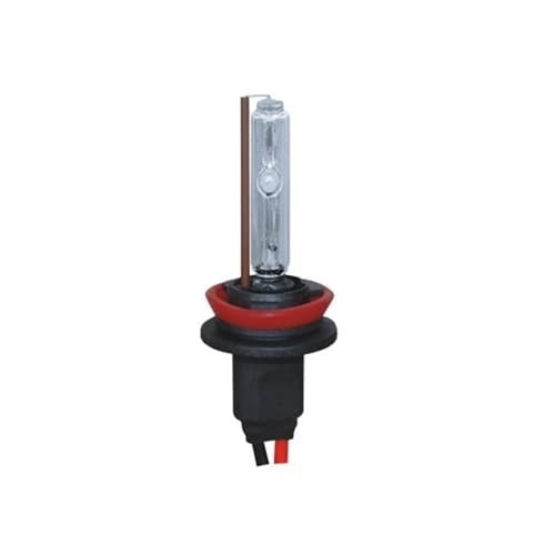 Xenon-lampe, 35W, 2-pk, H11 (4300K)