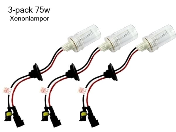 Xenonlampor D2h D2y 75W / 100W 6000K 3-pack xenonlampor
