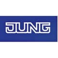 Miniatyrbild 2 av 2: "Ramsch champagne - JUNG - AC581CH - Gul - Duroplast - 1 post"