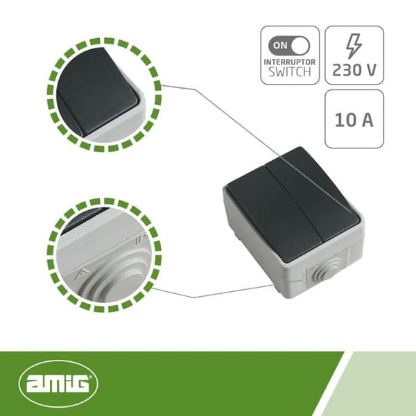 Amig switch - 8462